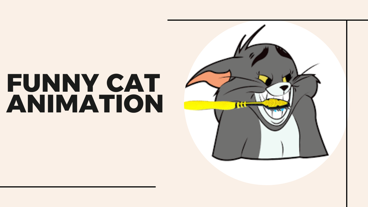 Funny Cat animation